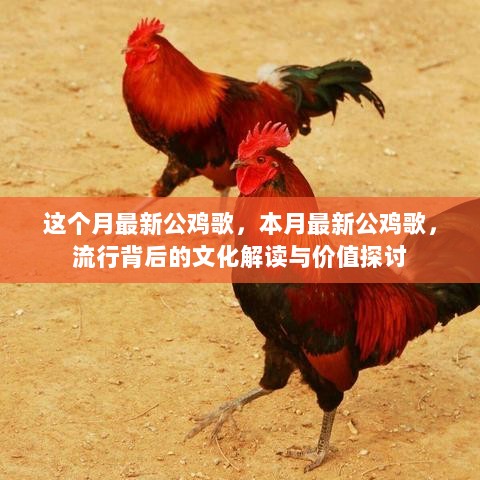 本月最新公鸡歌，流行背后的文化解读与价值探讨