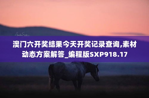 澳门六开奖结果今天开奖记录查询,素材动态方案解答_编程版SXP918.17