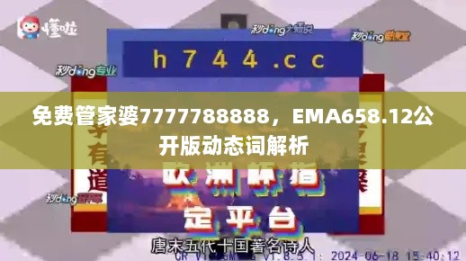 免费管家婆7777788888，EMA658.12公开版动态词解析