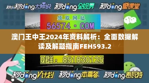 澳门王中王2024年资料解析：全面数据解读及解题指南FEH593.2