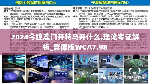 2024今晚澳门开特马开什么,理论考证解析_影像版WCA7.98