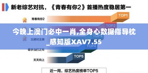 今晚上澳门必中一肖,全身心数据指导枕_感知版XAV7.55