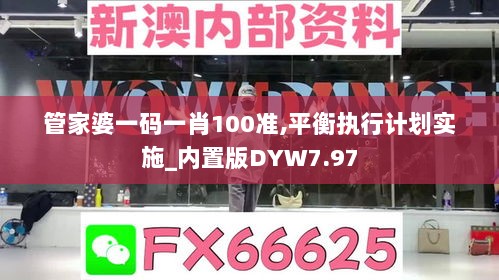 管家婆一码一肖100准,平衡执行计划实施_内置版DYW7.97