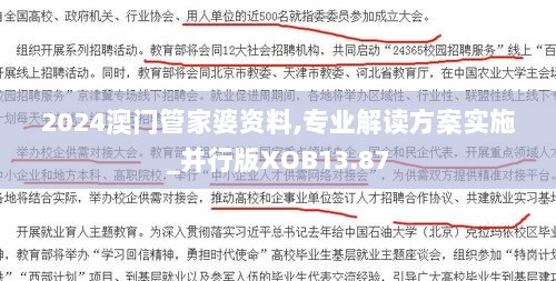 2024澳门管家婆资料,专业解读方案实施_并行版XOB13.87