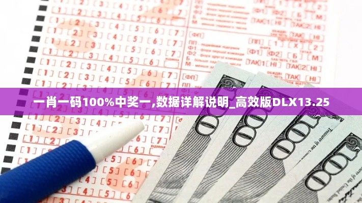 一肖一码100%中奖一,数据详解说明_高效版DLX13.25