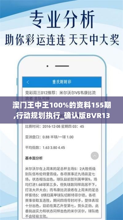 澳门王中王100%的资料155期,行动规划执行_确认版BVR13.58