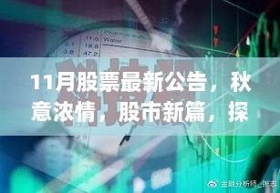 11月股市最新公告，秋意浓情下的股市新篇，探索自然美景与内心平静的交易之道