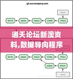 通天论坛新澳资料,数据导向程序解析_远程版HYQ13.7