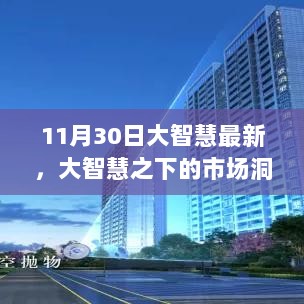 大智慧最新动态，市场洞察与影响分析（11月30日版）