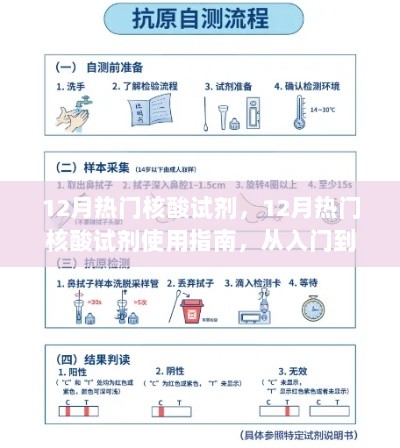 12月热门核酸试剂使用指南，从入门到精通的详细步骤解析