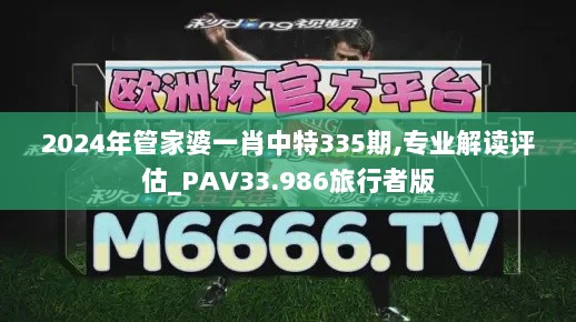 2024年管家婆一肖中特335期,专业解读评估_PAV33.986旅行者版