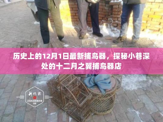 探秘小巷深处的十二月之翼捕鸟器店，历史上的12月1日最新捕鸟器