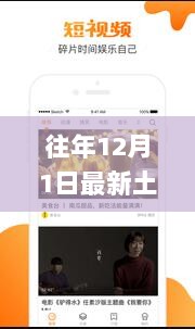 建议，探讨往年12月1日土豆VIP破解版，法律风险与道德考量