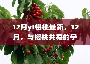 12月樱桃盛宴，宁静之旅与樱桃共舞