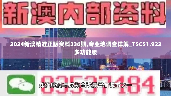 2024新澳精准正版资料336期,专业地调查详解_TSC51.922多功能版