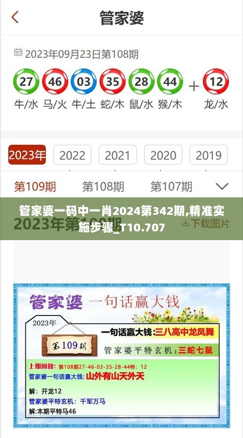 管家婆一码中一肖2024第342期,精准实施步骤_T10.707