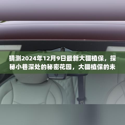 探秘大疆植保未来之窗，揭秘秘密花园，展望大疆植保新进展（2024年12月9日最新）