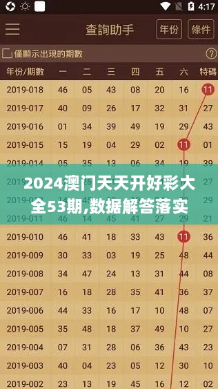 2024澳门天天开好彩大全53期,数据解答落实_XE版10.619