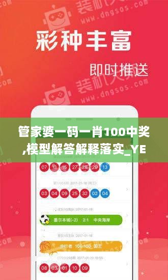 管家婆一码一肖100中奖,模型解答解释落实_YE版6.194