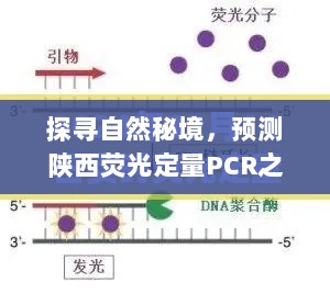 探寻自然秘境，陕西荧光定量PCR之旅的未知奇遇