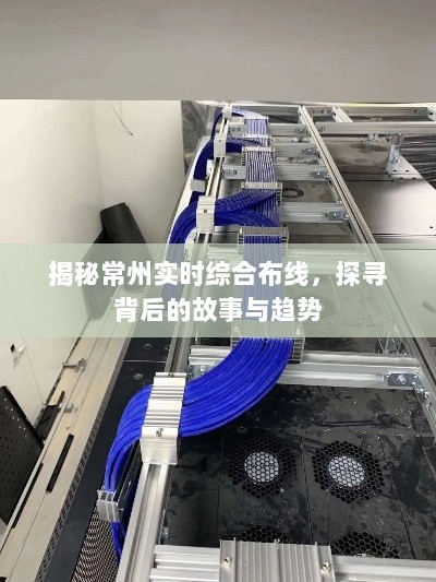 揭秘常州实时综合布线背后的故事与趋势发展