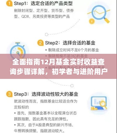 全面指南，12月基金实时收益查询详解，适合初学者与进阶用户