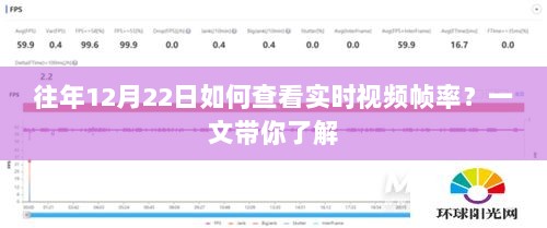 一文详解，如何查看往年12月22日实时视频帧率？