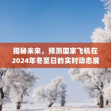 未来揭秘，国家飞机在冬至日的实时动态展望（预测至2024年）