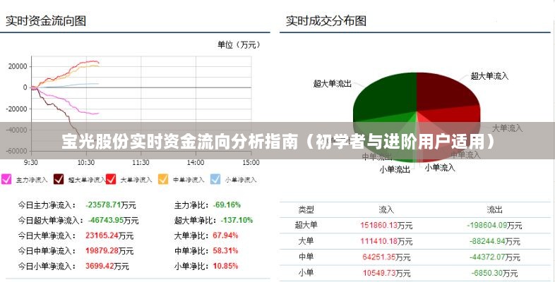 宝光股份资金流向解析，从入门到进阶的实用指南