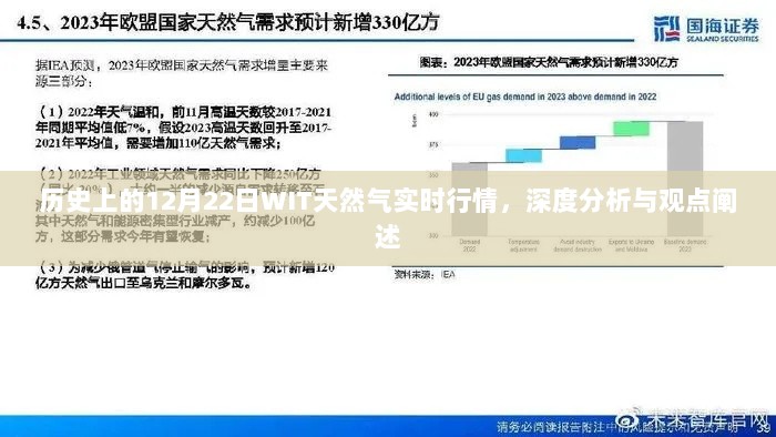 历史上的12月22日WIT天然气实时行情深度解析与观点分享