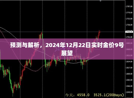 2024年12月22日实时金价预测与解析，黄金市场展望