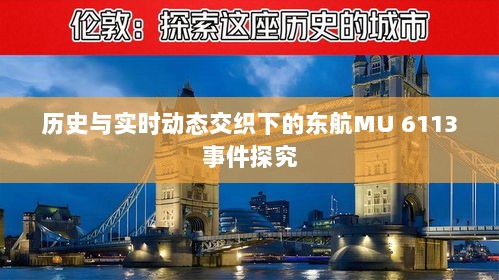 东航MU 6113事件，历史与实时动态的交织探究