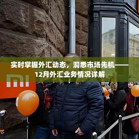 实时掌握外汇动态，洞悉市场先机与业务趋势详解（附十二月最新情况）