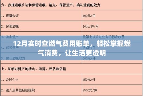 12月燃气费用账单实时查询，掌握消费情况，生活更透明