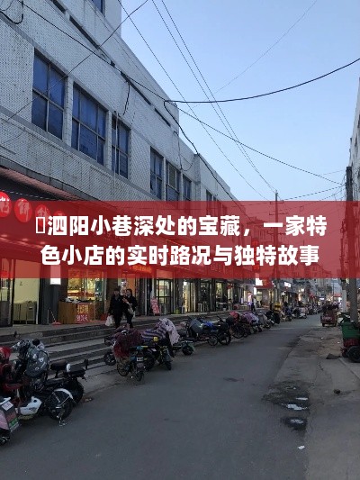 泗阳小巷深处的宝藏，特色小店的实时路况与独特故事探索