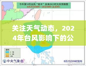 关注天气动态，台风影响下的公交实时调整科普知识解析