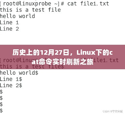 Linux cat命令实时刷新之旅，历史回顾与12月27日的足迹