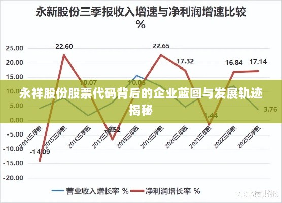 永祥股份股票代码背后的企业蓝图与发展轨迹揭秘