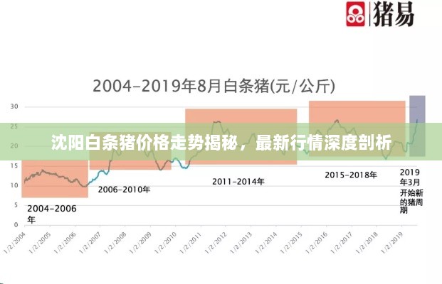 沈阳白条猪价格走势揭秘，最新行情深度剖析