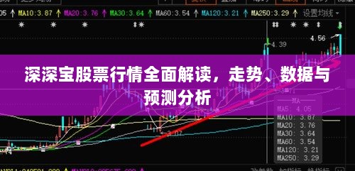 深深宝股票行情全面解读，走势、数据与预测分析