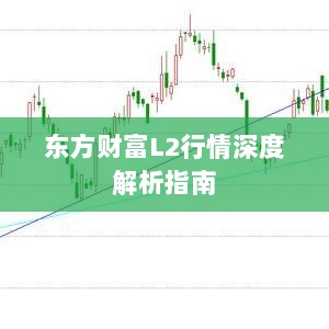 东方财富L2行情深度解析指南