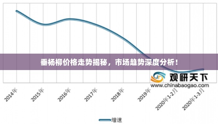 垂杨柳价格走势揭秘，市场趋势深度分析！