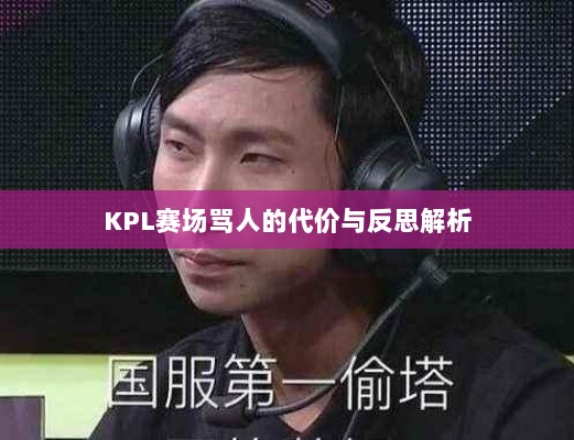 KPL赛场骂人的代价与反思解析