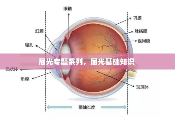 屈光专题系列，屈光基础知识 