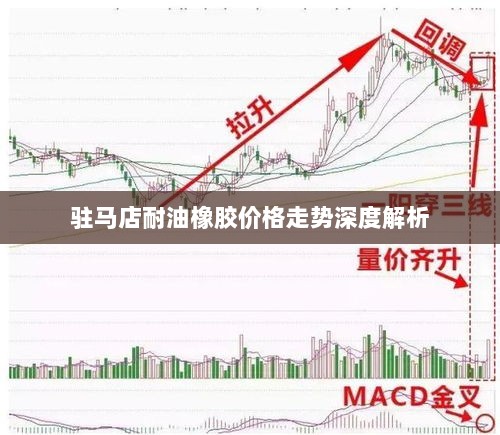 驻马店耐油橡胶价格走势深度解析