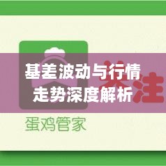 基差波动与行情走势深度解析