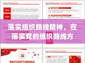 落实组织路线精神，在落实党的组织路线方面存在的问题 