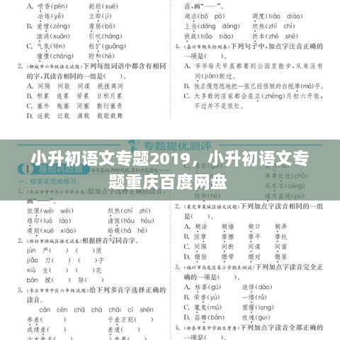 小升初语文专题2019，小升初语文专题重庆百度网盘 