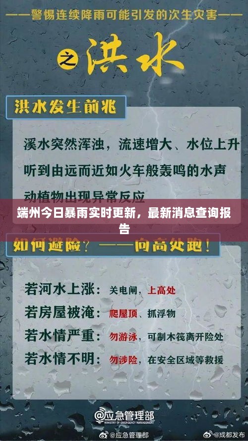 端州今日暴雨实时更新，最新消息查询报告