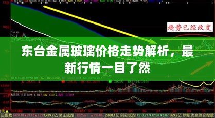 东台金属玻璃价格走势解析，最新行情一目了然